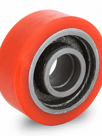 1x1 VEL RISUS COMMODO