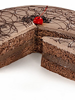 4x3 SAGITTIS VITAE ET